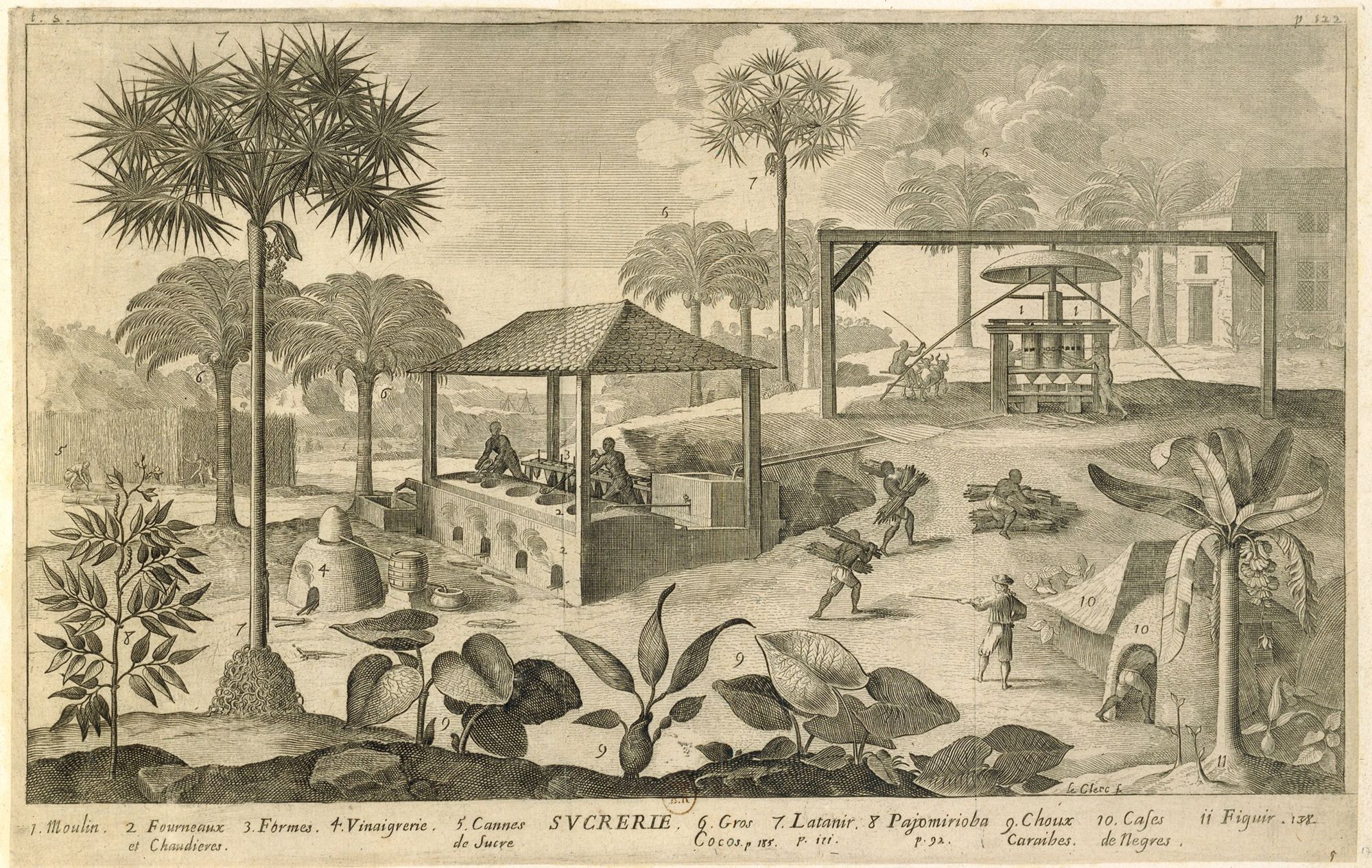 Description pour la fabrication du sucre (Planche 9 pour Jean-Baptiste Du Tertre, « Histoire générale des Antilles »), Leclerc Sébastien l’Ancien (1637-1714). 